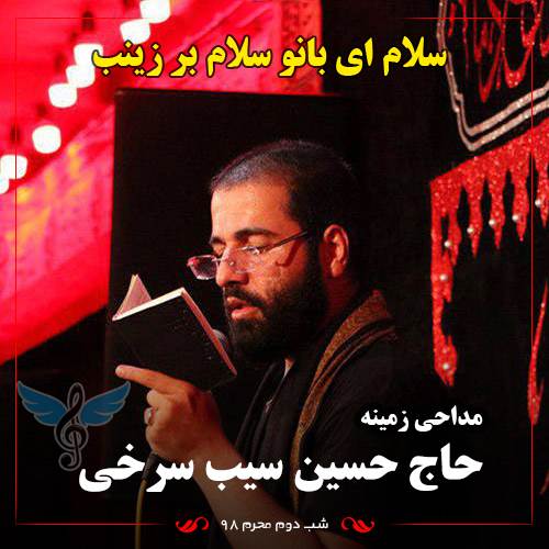 سلام ای بانو سلام بر زینب از حسین سیب سرخی