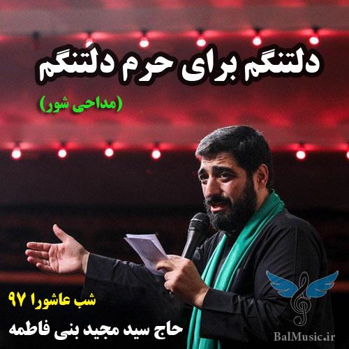 دلتنگم برای حرم دلتنگم از سید مجید بنی فاطمه