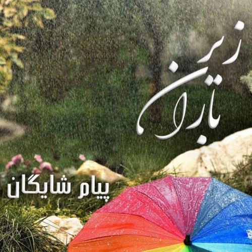 زیر باران از پیام شایگان