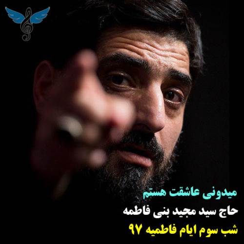 میدونی عاشقت هستم از سید مجید بنی فاطمه