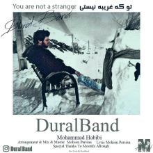 تو که غریبه نیستی از دورال بند