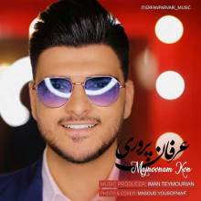 مجنونم کن از عرفان پروری