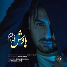 بی خبرم از هاوش