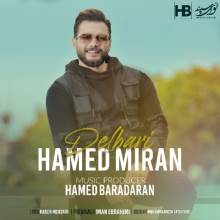 دلبری از حامد میران