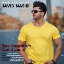 جات کنارم چه خالیه از جاوید نصیری