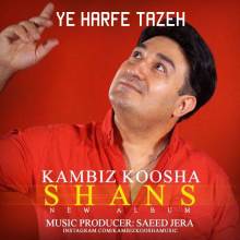 یه حرف تازه از کامبیز کوشا