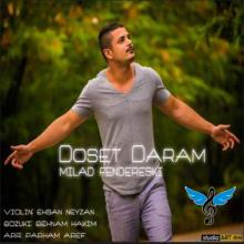 دوست دارم از میلاد فندرسکی