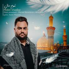 تموم سال از مبین شادلو