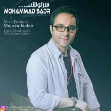 سرنوشت از محمد صدر