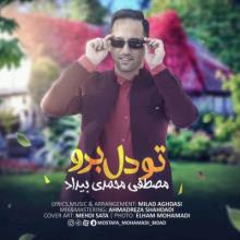 تو دل برو از مصطفی محمدی بیداد