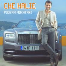 چه حالیه از پویان مختاری