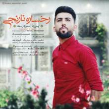 رخساره نارنجی از پوریا امیردوست