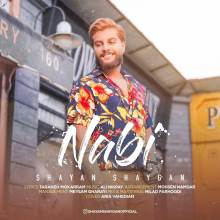 نابی از شایان شایگان